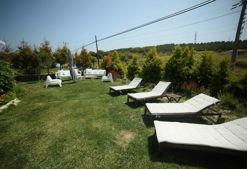 تختخواب و صبحانه Aspasia House