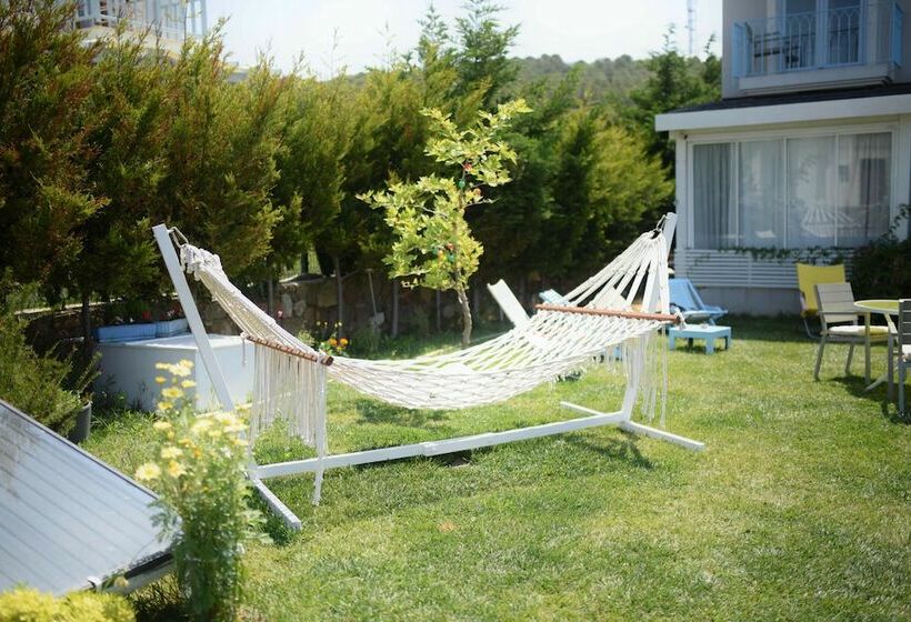 تختخواب و صبحانه Aspasia House