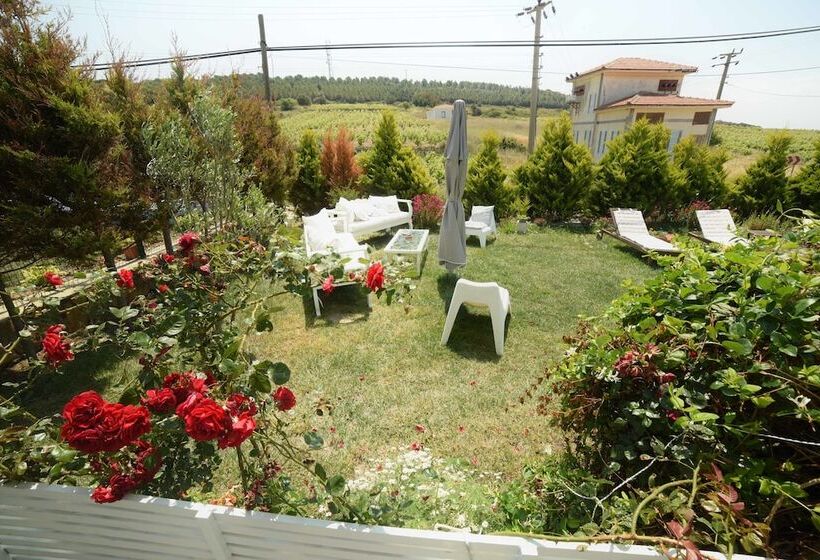 تختخواب و صبحانه Aspasia House