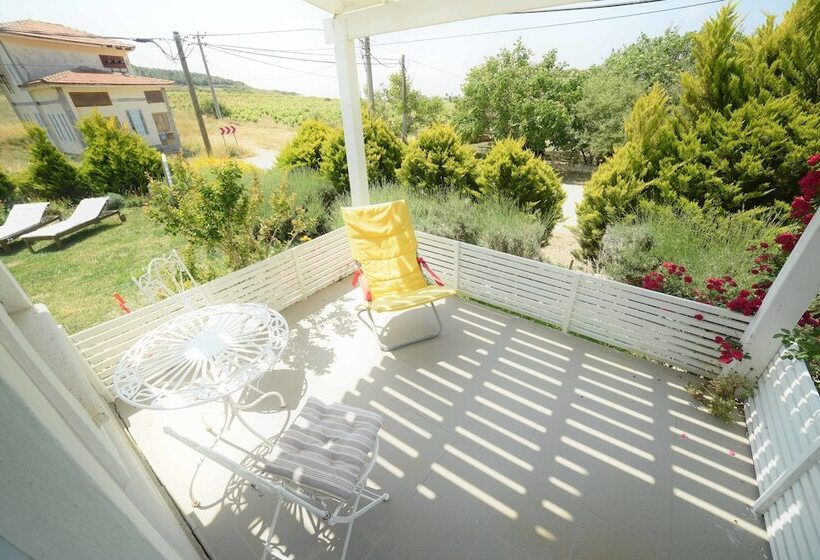 تختخواب و صبحانه Aspasia House