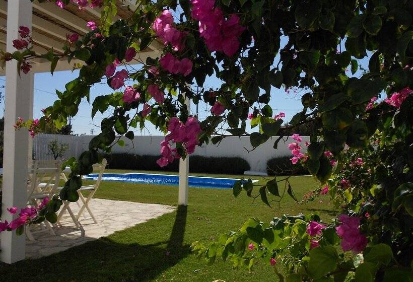 צימר Manta Alacati