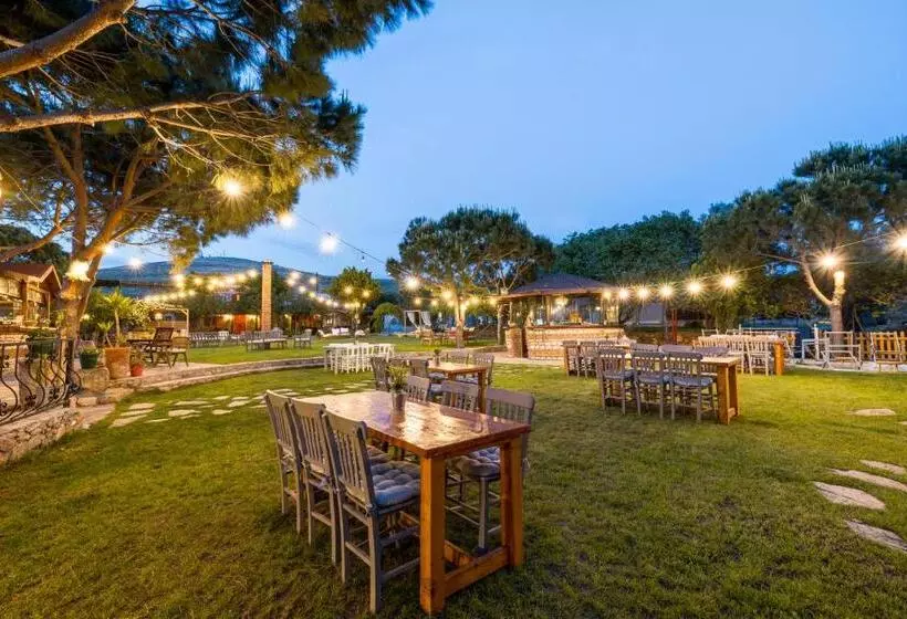 هتل Aral Tatil Ciftligi