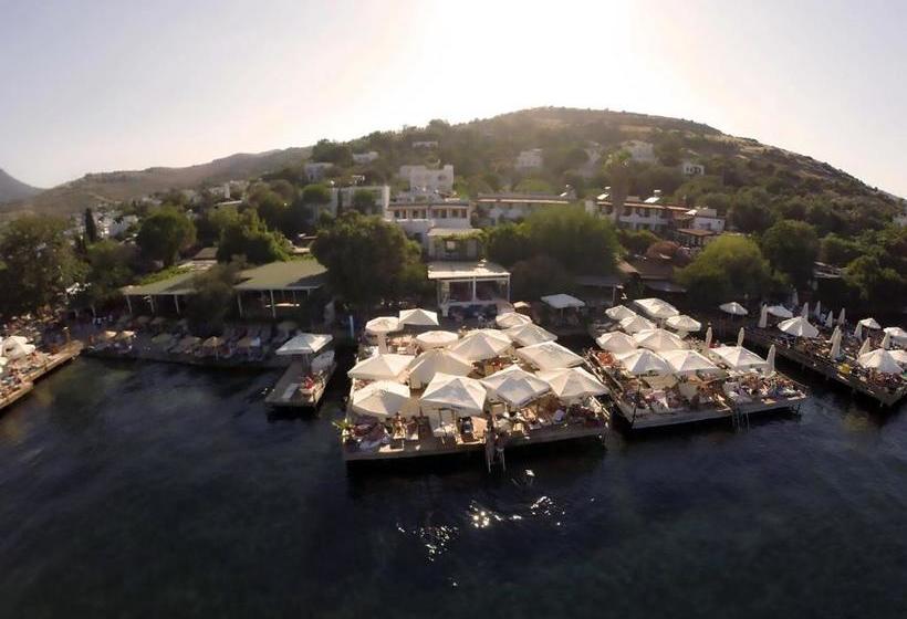 فندق Casablanca Antik