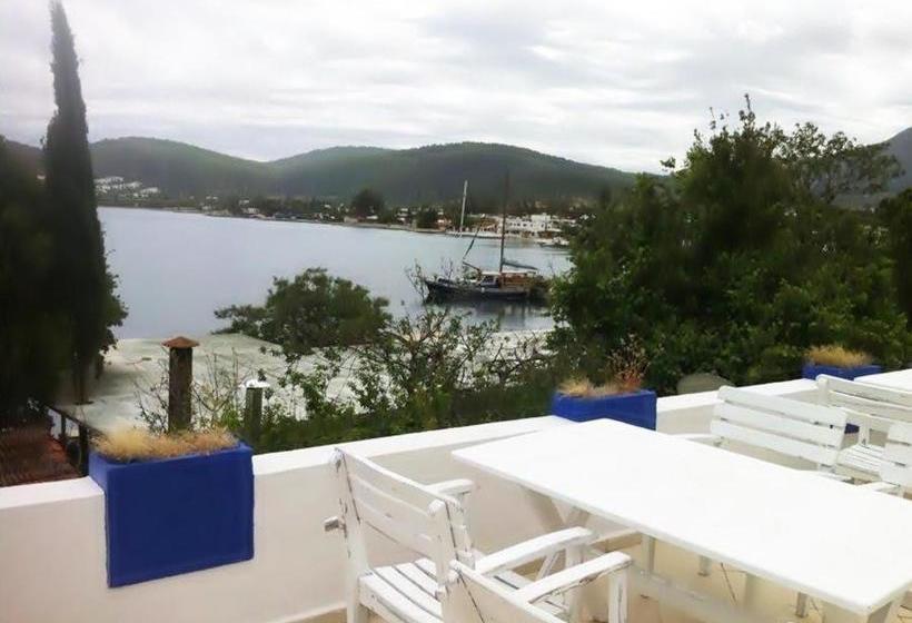 فندق Casablanca Antik