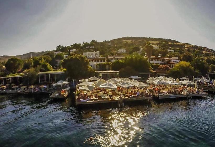 בית מלון כפרי Casablanca Antik