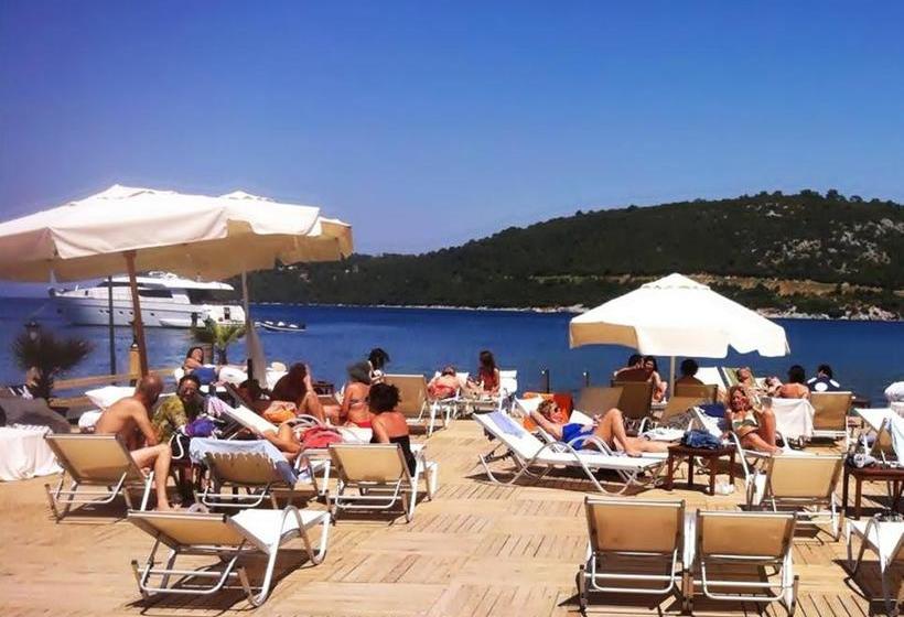 בית מלון כפרי Casablanca Antik