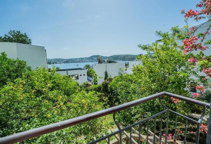 فندق Costa 3s Beach