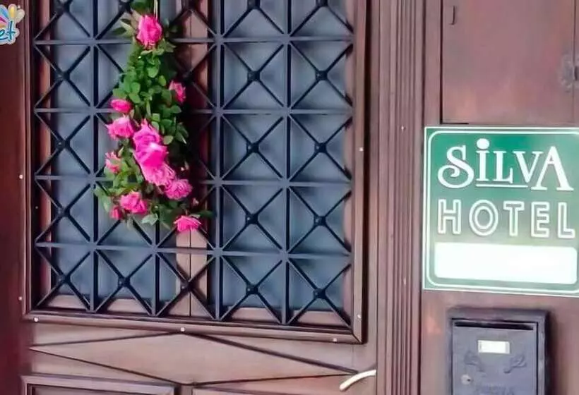 ホテル Silva Butik