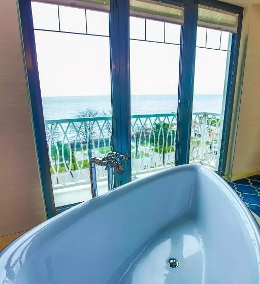 Sinema Hotel Ordu