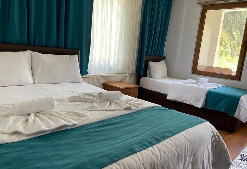 Hotelli Uzungol Soylu