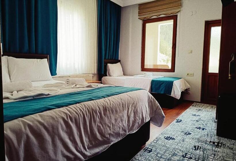 Hotelli Uzungol Soylu
