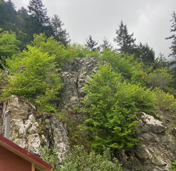 Hotelli Uzungol Soylu