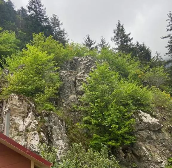 هتل Uzungol Soylu