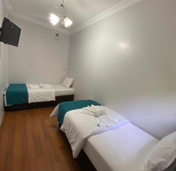 Hotelli Uzungol Soylu