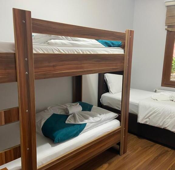 Hotelli Uzungol Soylu