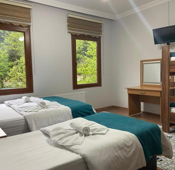 Hotelli Uzungol Soylu