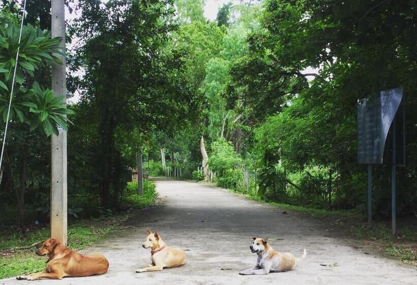 צימר Foresta Villa