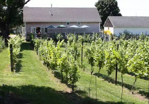 تختخواب و صبحانه The Langworthy Inn & Winery