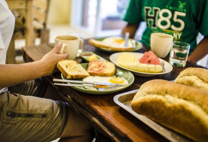 Coco Khao Sok Hostel