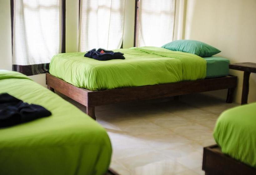 Coco Khao Sok Hostel