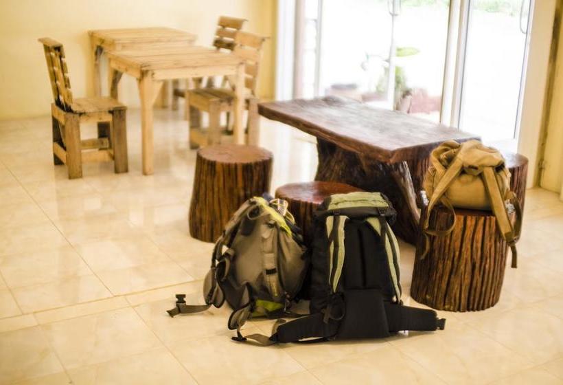 Coco Khao Sok Hostel