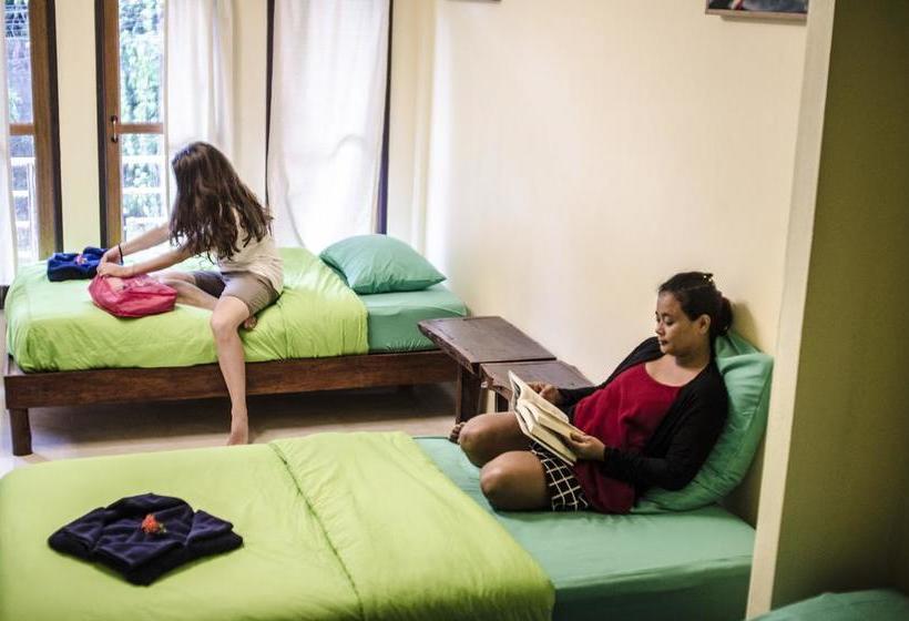 Coco Khao Sok Hostel