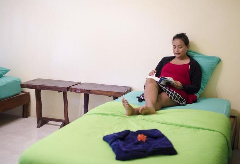 Coco Khao Sok Hostel