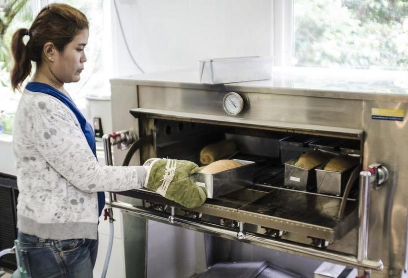 Coco Khao Sok Hostel