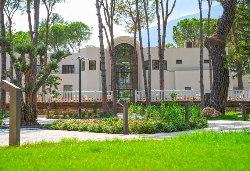 Отель Siu Collection - Ultra All Inclusive