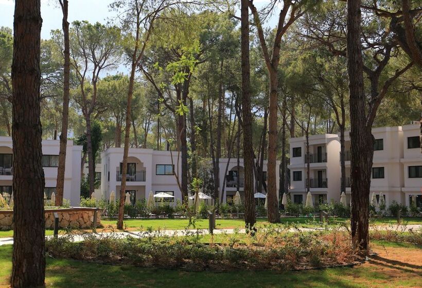 Отель Siu Collection - Ultra All Inclusive