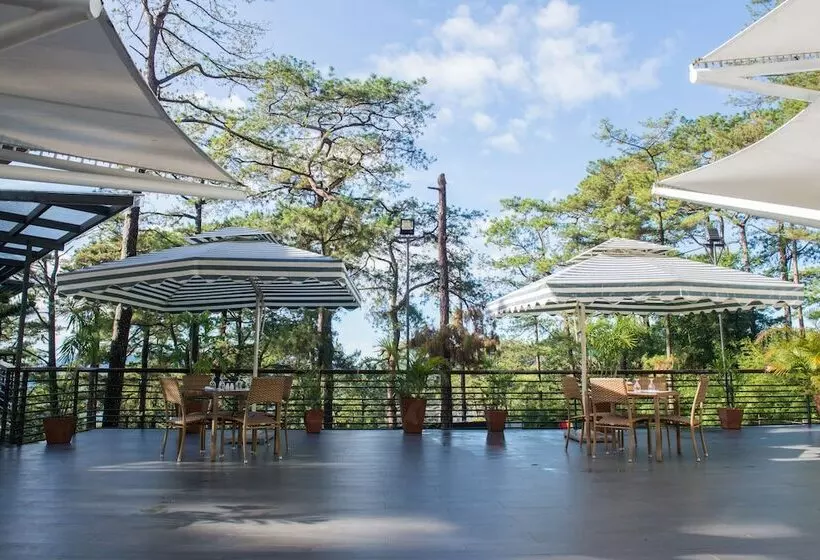 ホテル Grand Sierra Pines Baguio