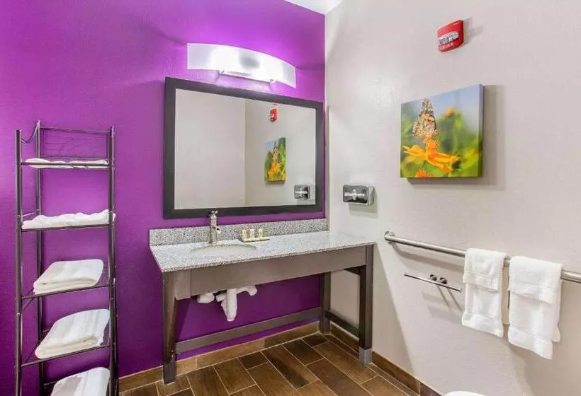 ホテル La Quinta By Wyndham Springfield Il