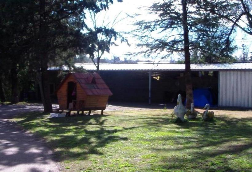 ホテル Santa Rosa