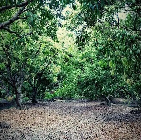 ホテル Warakorn Baansuan Amphawa