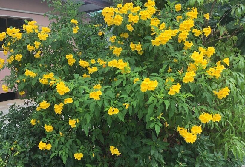 فندق Warakorn Baansuan Amphawa