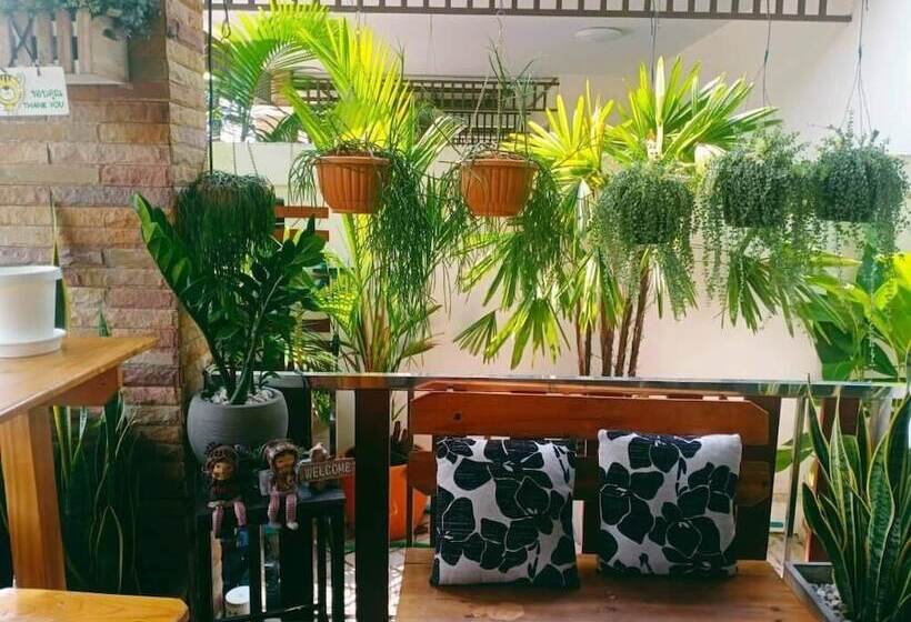 Aamiaismajoitus (B&B) Wilderness