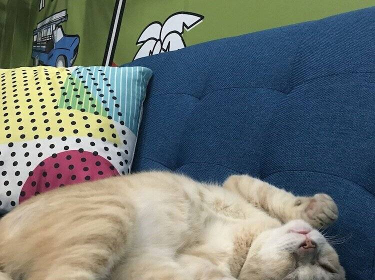 Bedbox Guesthouse & Hostel