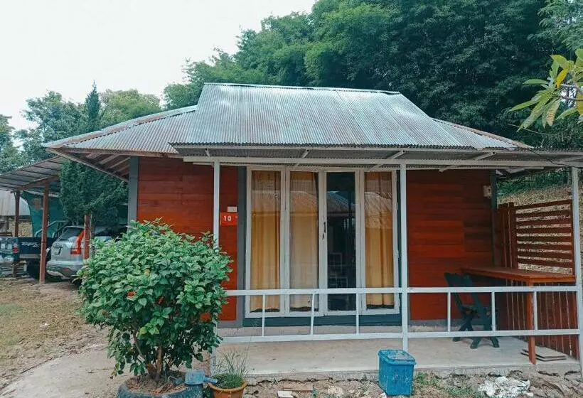 هتل Pai Forest Resort