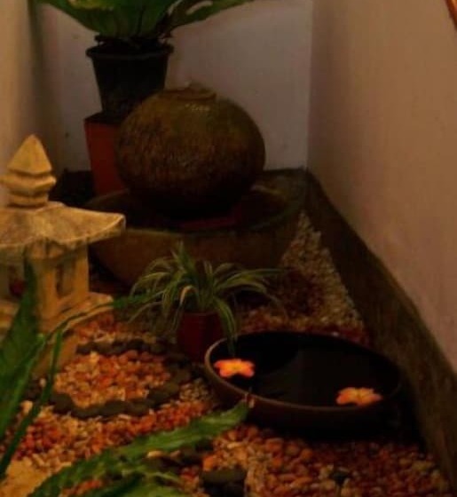 בית מלון כפרי Tangerine Ville