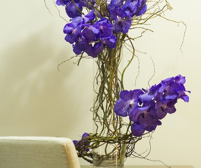 Garni Hotel Central Lux