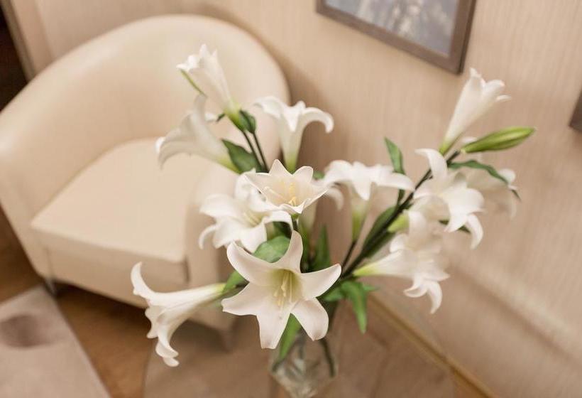 בית מלון כפרי Aviastar