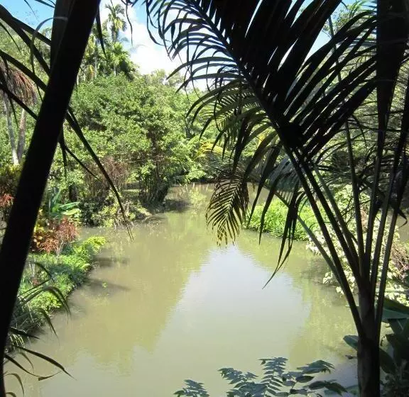 Phanom Bencha Mountain Resort
