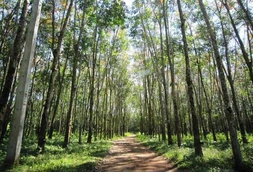 Phanom Bencha Mountain Resort