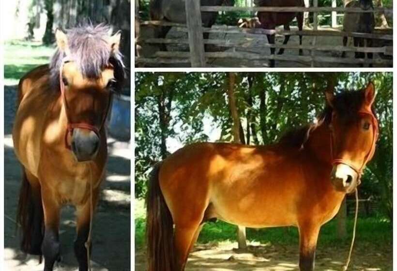 Scenic Riverside Resort