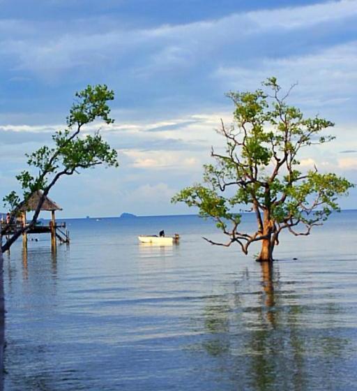 The Cinnamon Art Resort And Spa