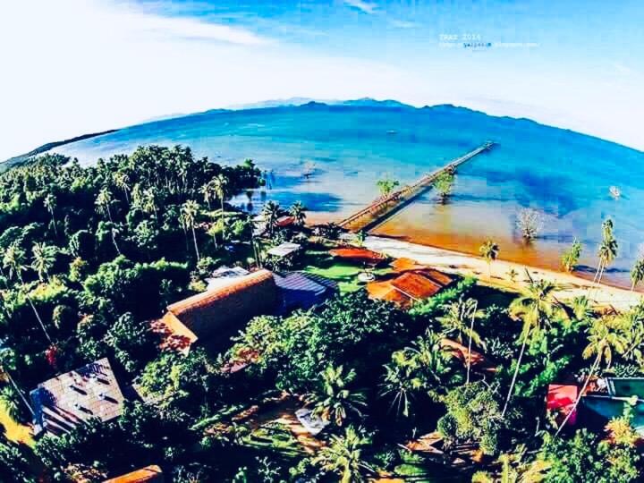 The Cinnamon Art Resort And Spa