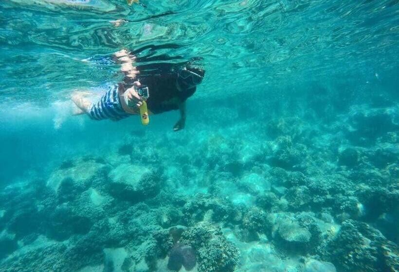 The Cinnamon Art Resort And Spa