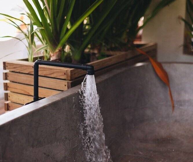 Naked Hotel Zipolite