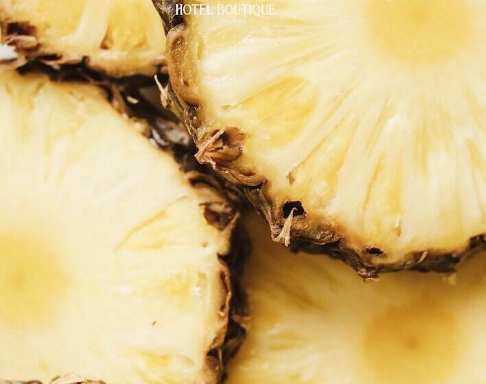 Bunde Haus Hotel Boutique Express