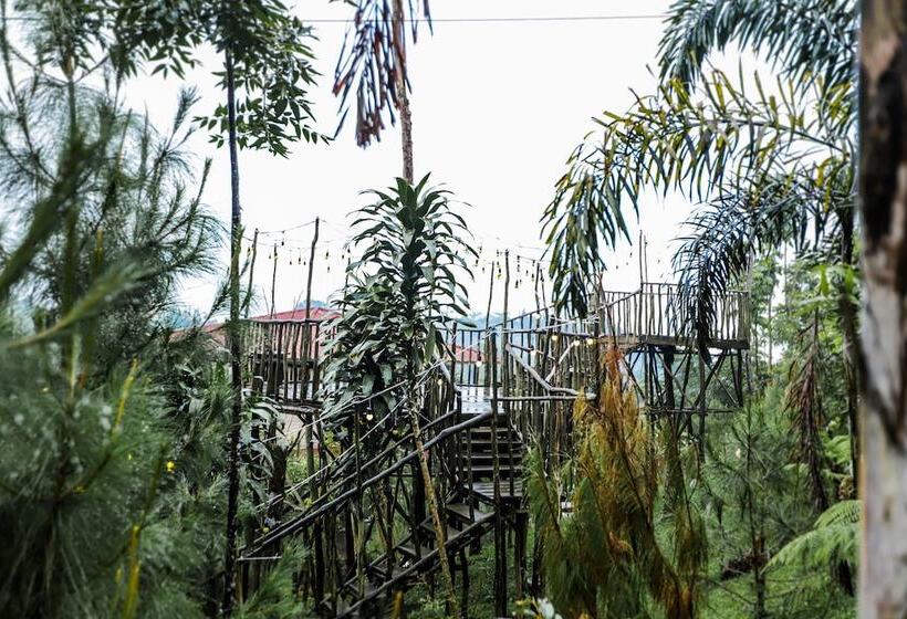 Hotell Miracle Signature Hills